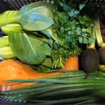 Organic Small Vegetable Box (pc)
