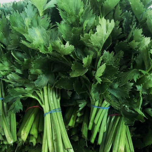 Celery Stalk (bun)