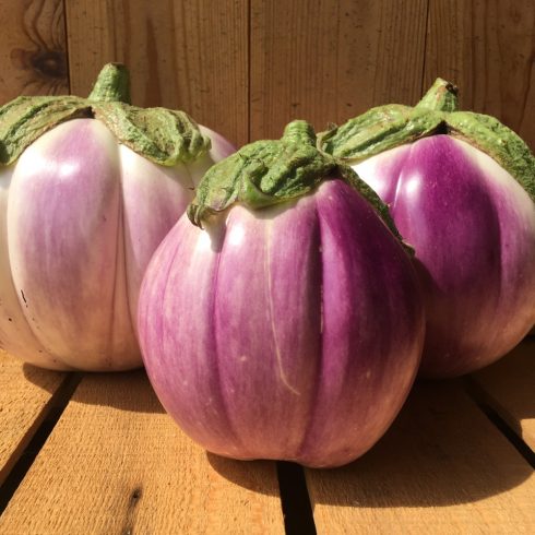 Organic Aubergines - white/purple (700g)