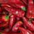 Bio Paprika - Piros (300g)