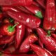 Bio Paprika - Piros (300g)
