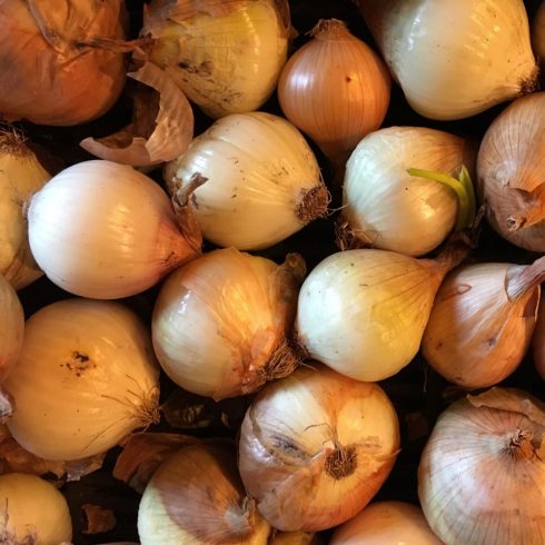 Organic Red Onions (kg)