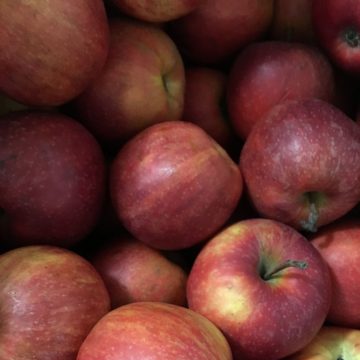 Organic Apples - Jonathan (kg)