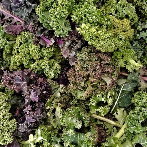 Organic Curly Kale- Mix (250g)