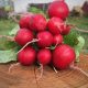 Organic Radish (bun)