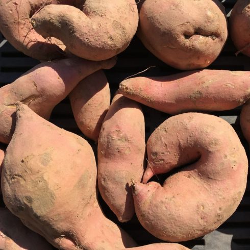 Organic Sweet Potatoes (500g)