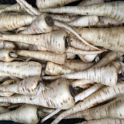 Organic Parsnips (kg) 