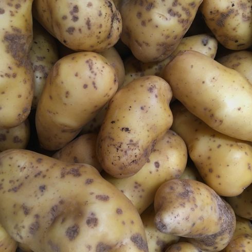 Organic Potatoes - Hópehely (500g)