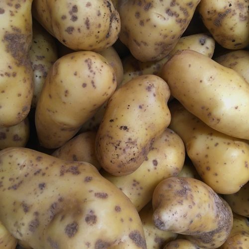 Organic Potatoes - Yellow (500g)