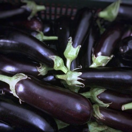 Bio Padlizsán - Lila (600g)