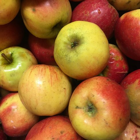 Organic Apples - Idared (kg)