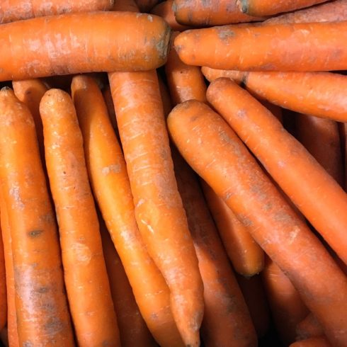 Organic Carrots - big (kg)