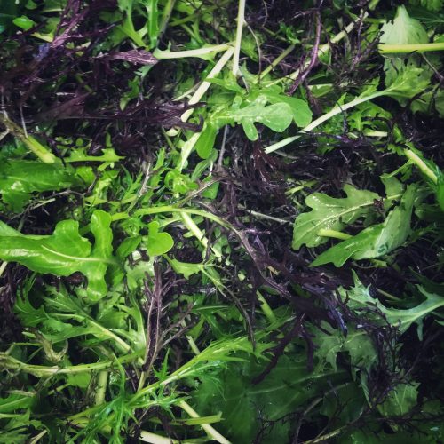 Organic Oriental salad mix (ptn)