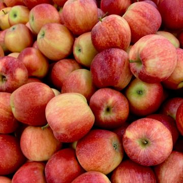 Organic Apples - Florina (kg)