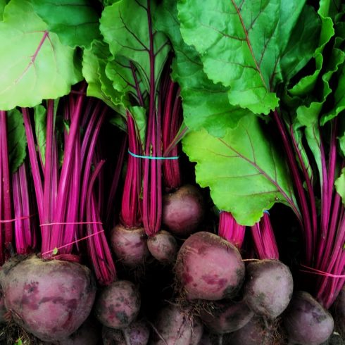 Organic Beetroot with Greens (bun)