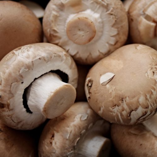Bio Gomba (250g) 