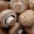 Bio Gomba (250g) 