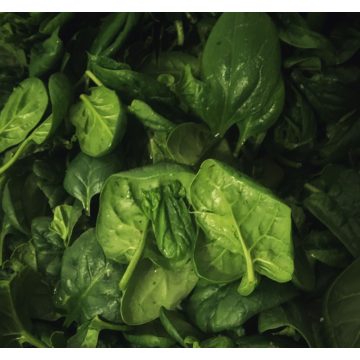 Organic Spinach (300g)