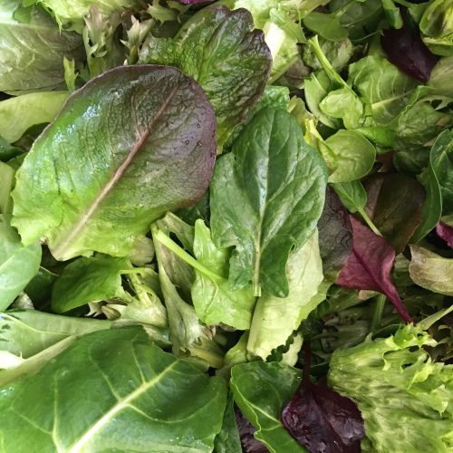 BIO Saláta mix - Vegyes (200g)