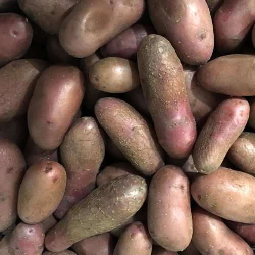 Organic Red Kidney Potatoes (500g)