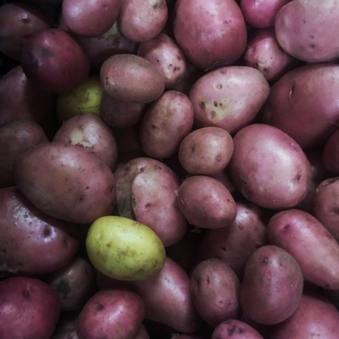 Organic Potatoes - Balatoni Rózsa (500g)