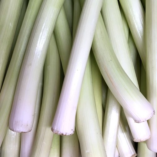 Organic Leek (pc)