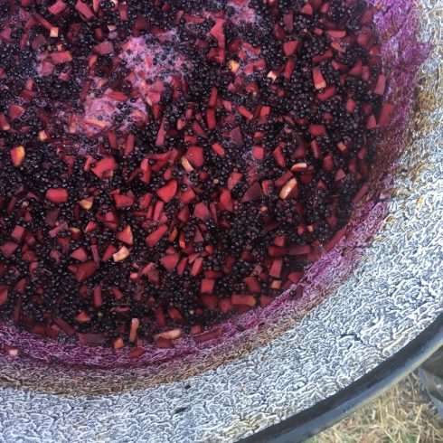 Organic Elderberry Jam (150gr)
