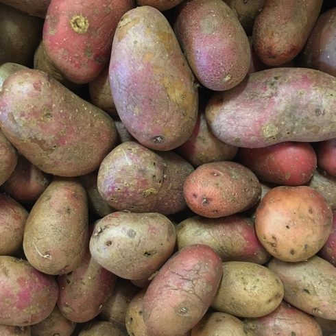 Organic Potatoes - Piros (kg)