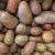 Organic Potatoes - Red (500g)