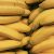 Bio Banán (800g)