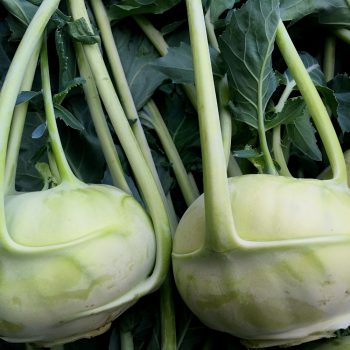 Bio Karalábé (db)