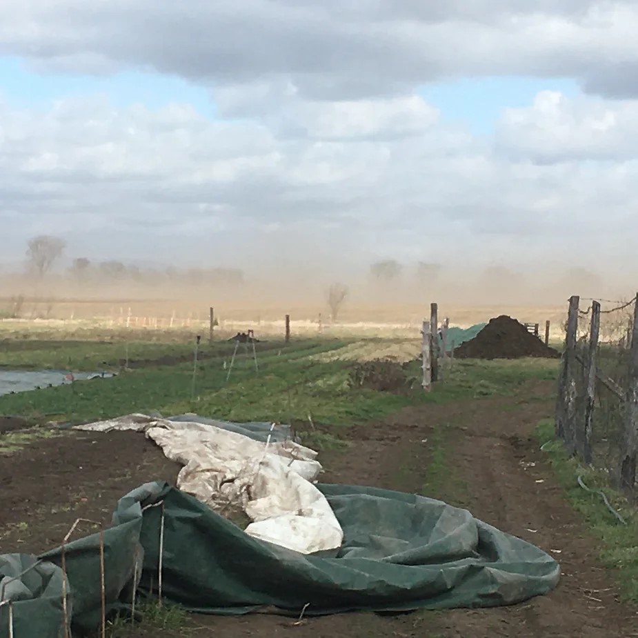 Soil Erosion - Dust Storms