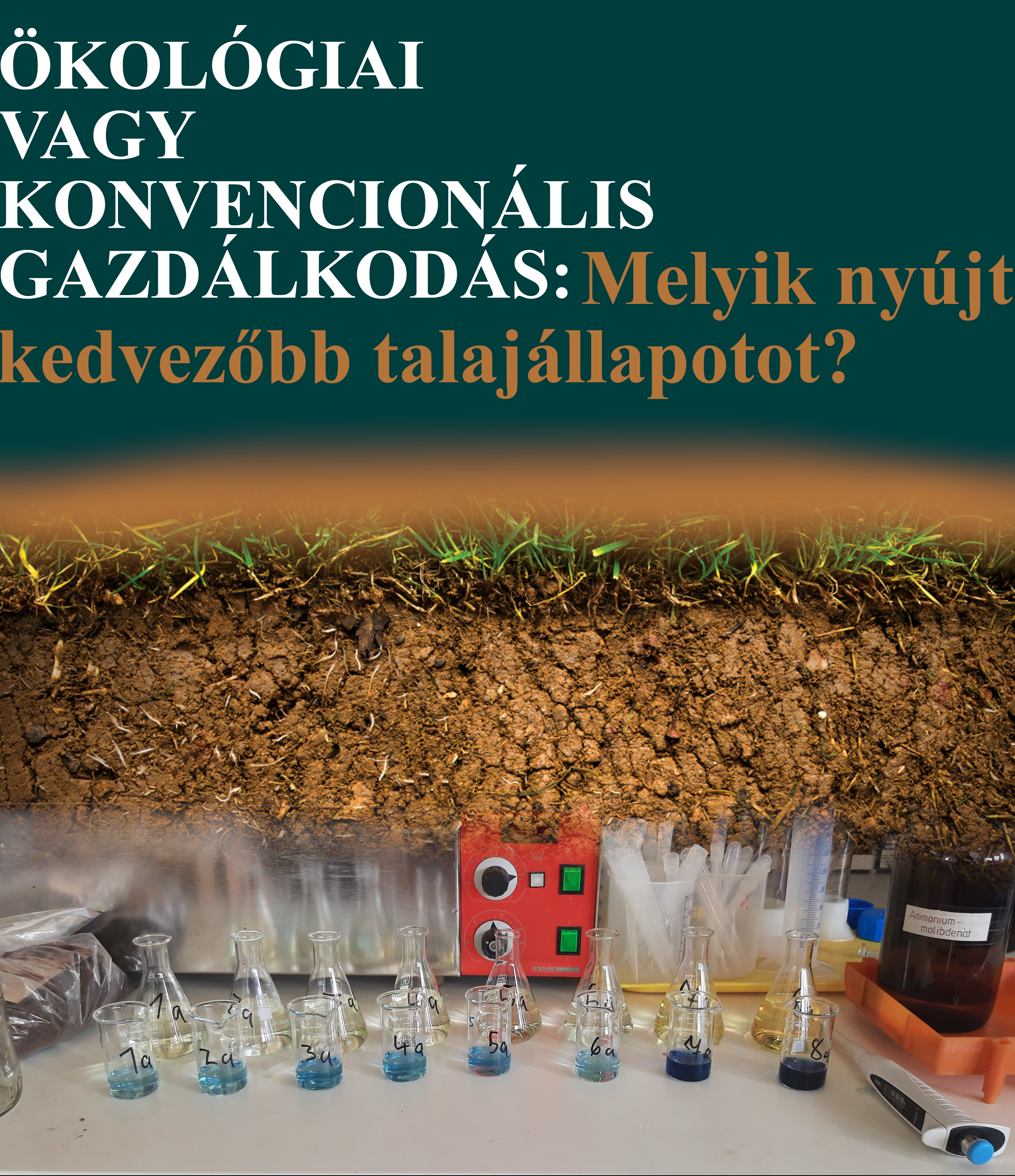 A talaj titkai - Egy szakdolgozat összegzése