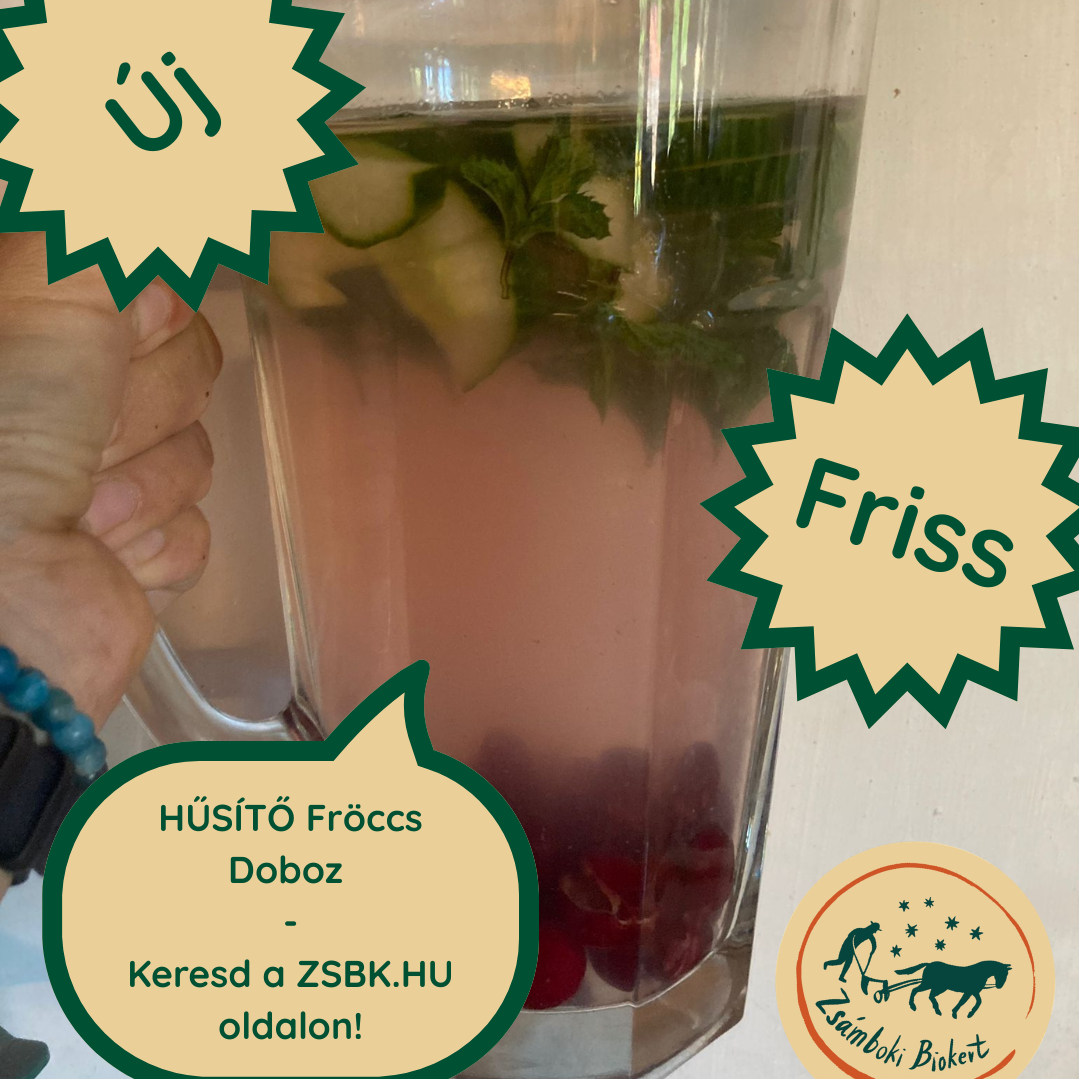 Hűsítő Gyümölcsfröccs