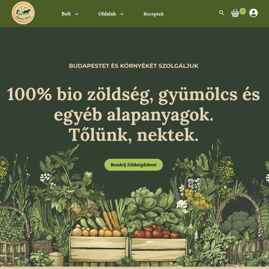 Így használd az új web áruházat!